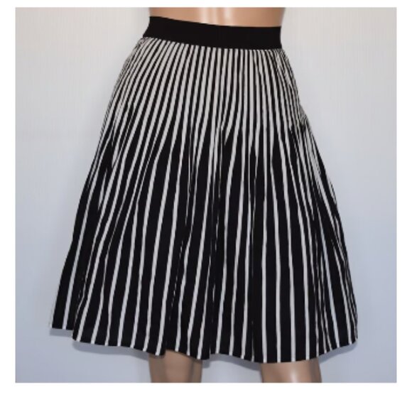 Maeve Anthropologie Womens Remy Black White Striped A-Line Pleated Skirt Size 12 - Picture 1 of 11
